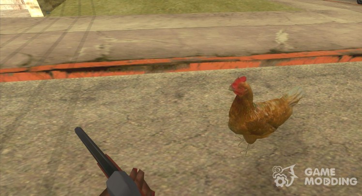 Chicken patrol