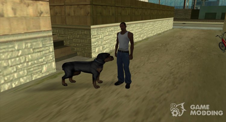 Rottweiler para GTA San Andreas