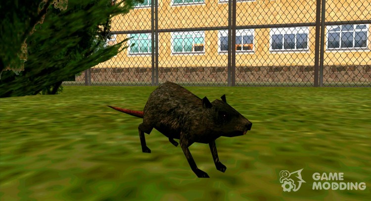 Крыса из S.T.A.L.K.E.R. v.1 для GTA San Andreas