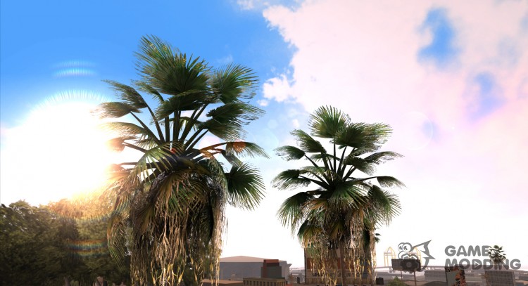 GTA V Palm Trees V.1 для GTA San Andreas