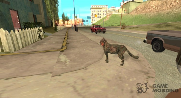 Animales en Los Santos para GTA San Andreas