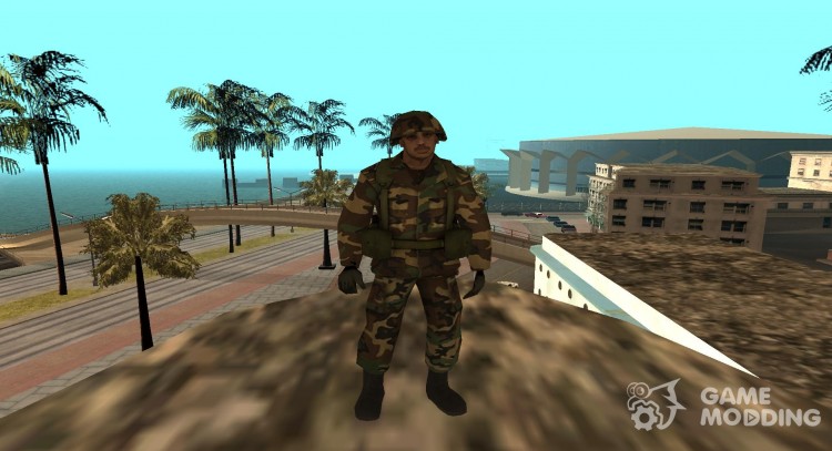 Скины армейцев (By Luntik) для GTA San Andreas