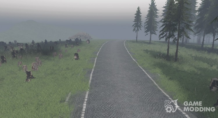 The texture of the road pavement for Spintires 2014