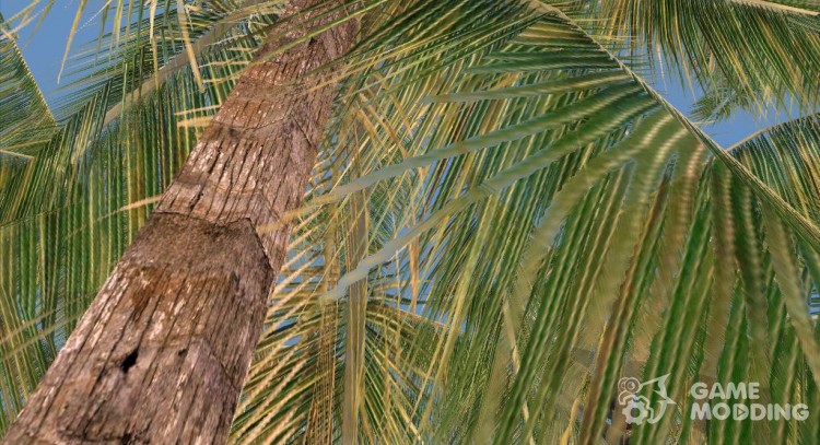 Palms of Crysis for GTA San Andreas
