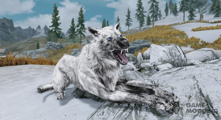 heljarchen Wolf Pet Cerberos for TES V: Skyrim