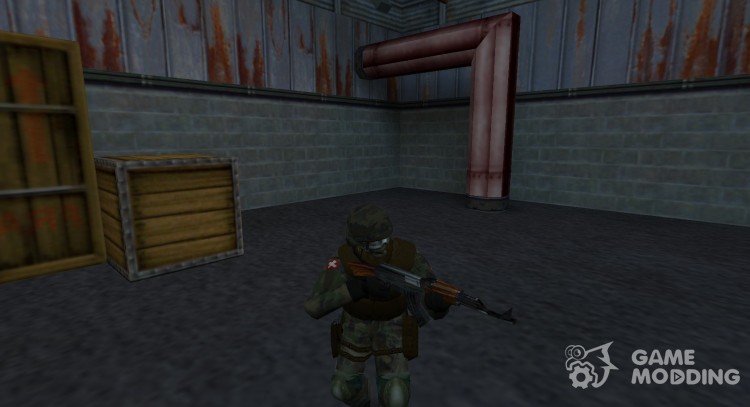 Arctic with mask and nvg for Counter Strike 1.6