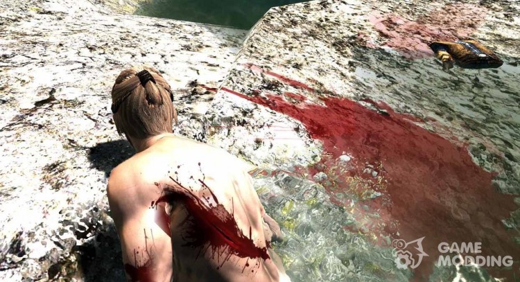Realistic wounds for TES V: Skyrim