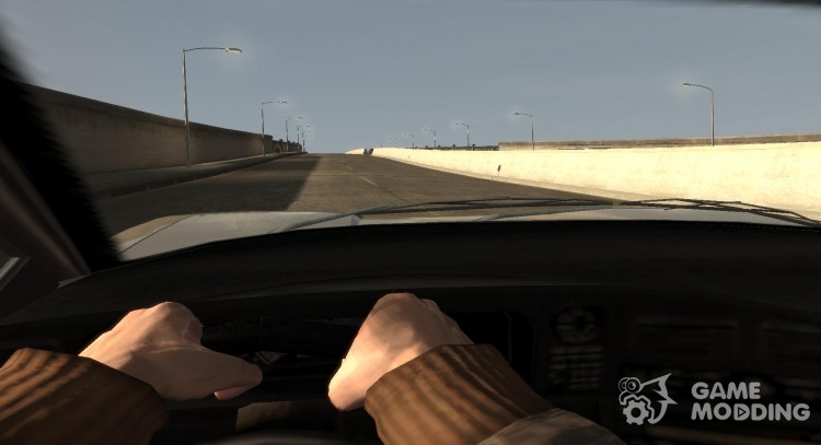 Вид из авто для GTA 4
