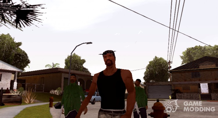 Больше братков из Grove Street для GTA San Andreas