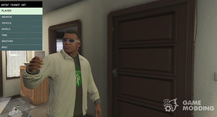 Native trainer for GTA 5