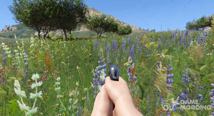 Vegetation Overhaul 1.1 for GTA 5