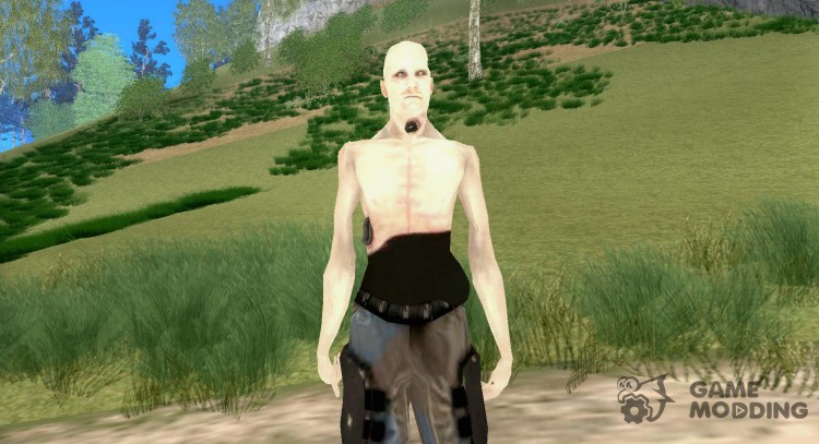 Сталкер из Half-Life 2 для GTA San Andreas