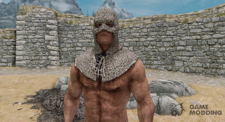 Chainmail Executioner Hood for TES V: Skyrim