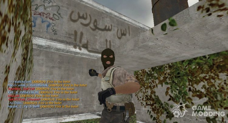 counter strike phoenix