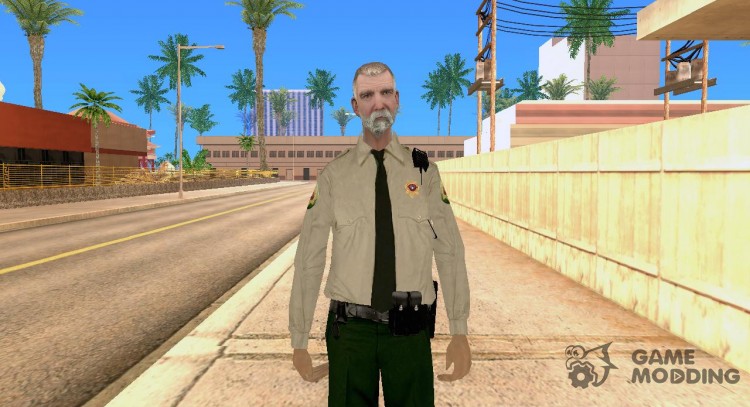 Качественный скин полицейского для GTA San Andreas