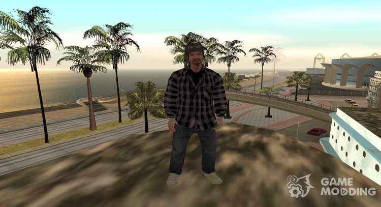 Media skins in HD (By Luntik) for GTA San Andreas