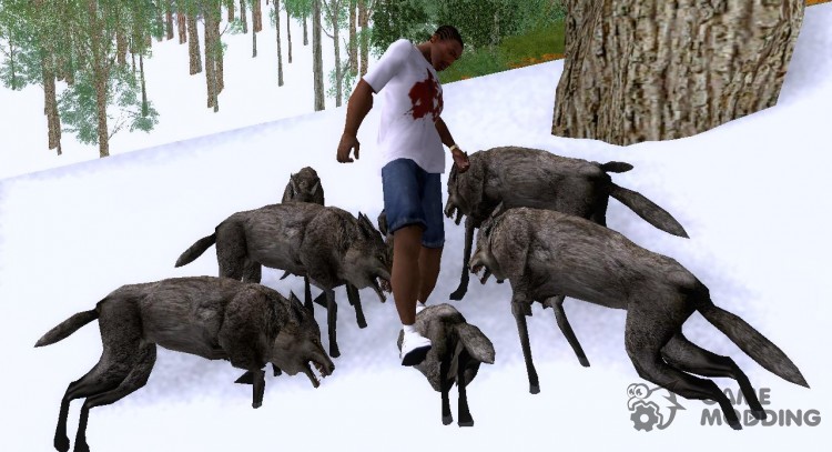 Wolves in the forest v.3 (Final version) para GTA San Andreas