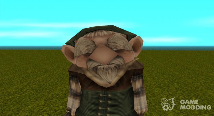 The Dwarf from Zanzarah: The Hidden Portal v.7 for GTA San Andreas