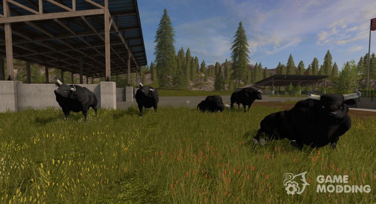 Черные быки для Farming Simulator 2017