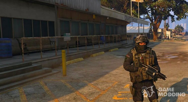 Shadow Company Soldier for GTA 5