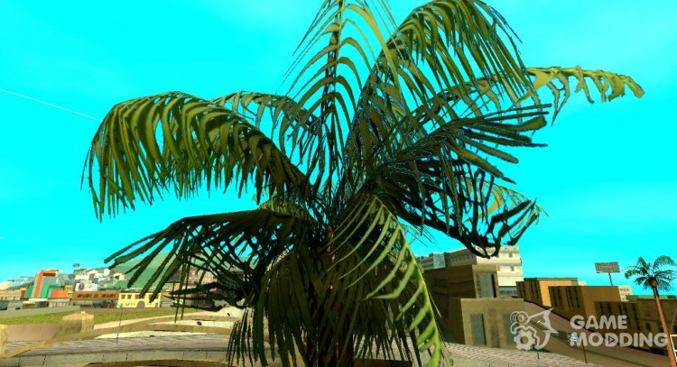 Original Palms HD Leaf Texture (Low PC) for GTA San Andreas