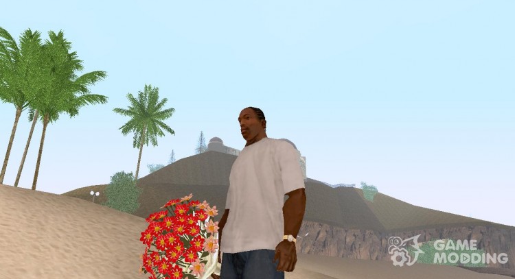 Los nuevos realistas flores en HQ para GTA San Andreas