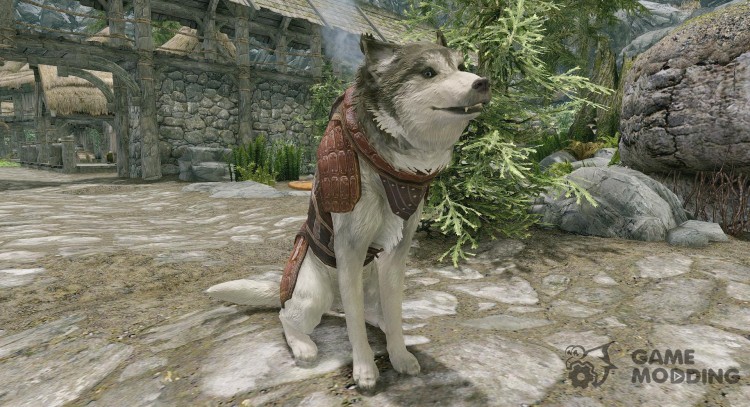 Ralgas - blindado husky compañero para TES V: Skyrim