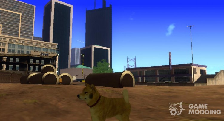 DOGE for GTA San Andreas