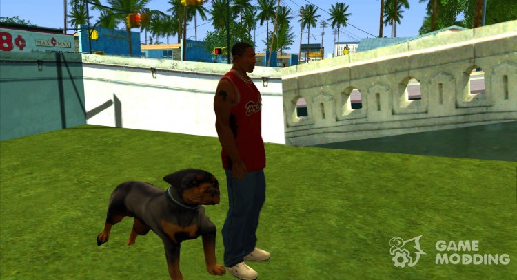 Perro del animal doméstico de Ryders para GTA San Andreas