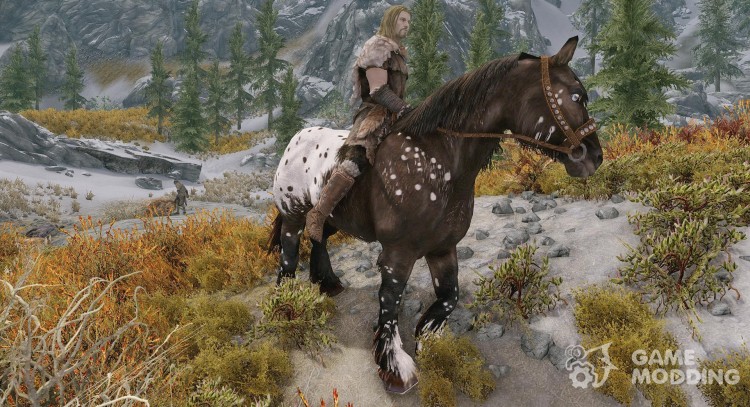 Боевой конь Домино для TES V: Skyrim