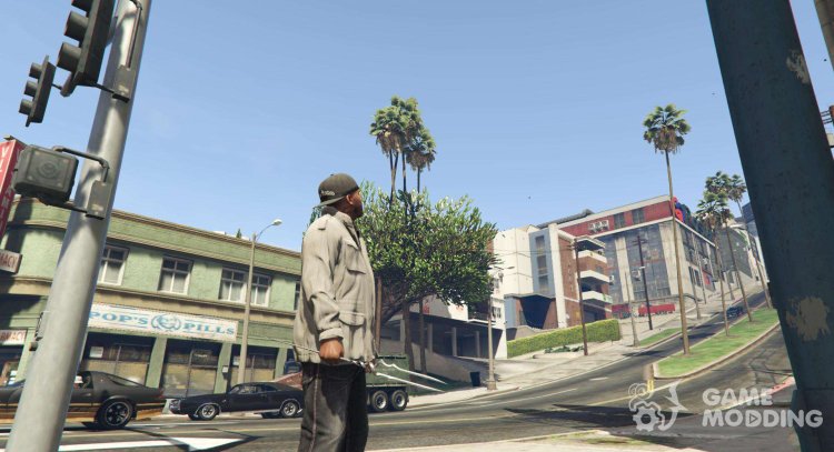 Rongeurs needle para GTA 5