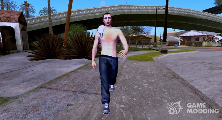 Skin Random 246 (Outfit Random) для GTA San Andreas