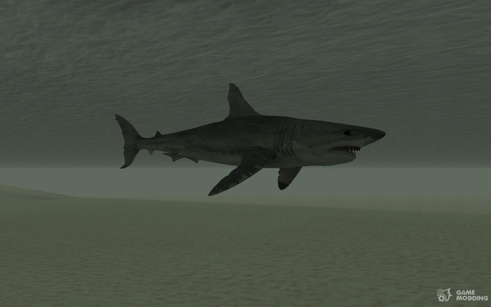 Gta 5 акула мегалодон фото 45