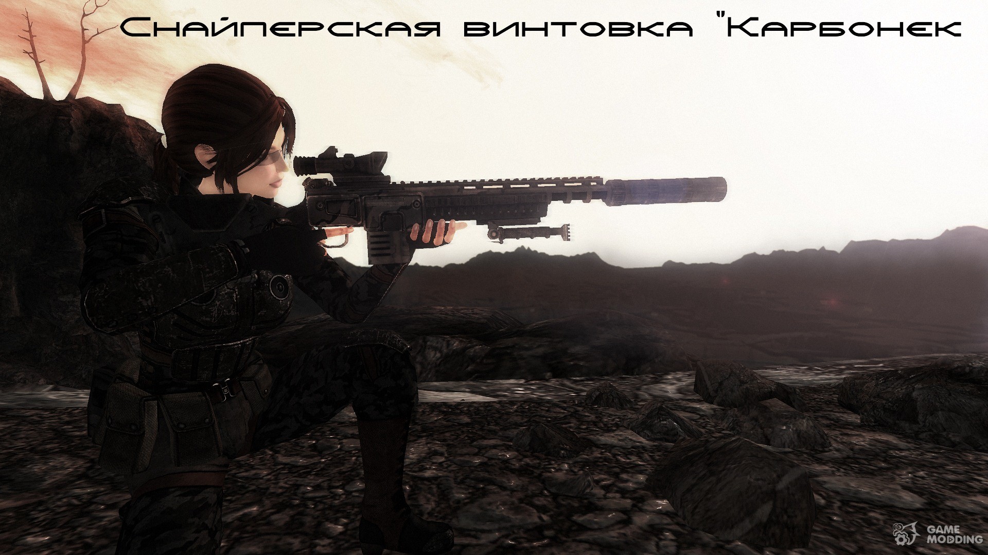 снайперская винтовка dks 501 для fallout 4 фото 51