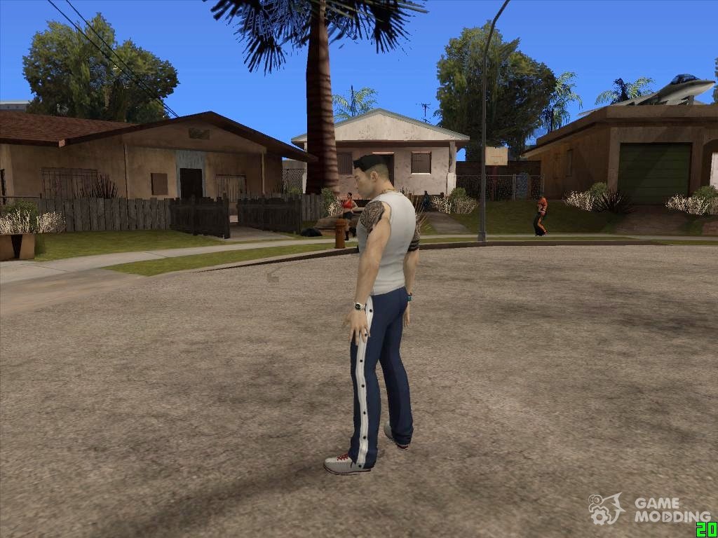 Download Sleeping Dog Skin PACK for GTA San Andreas